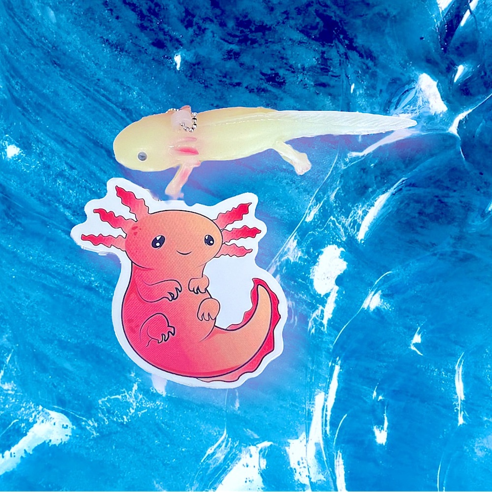 ChubsALotl Axolotl Crazy Trending WaterProof Single Decor Accent Sticker